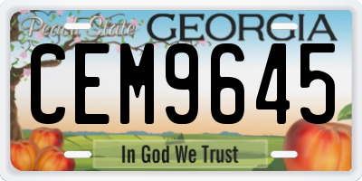 GA license plate CEM9645