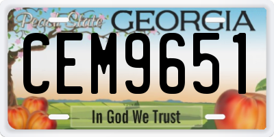 GA license plate CEM9651