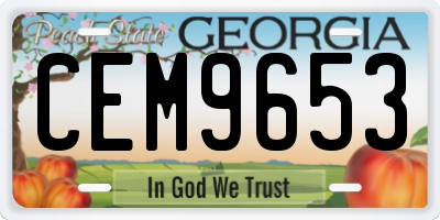 GA license plate CEM9653