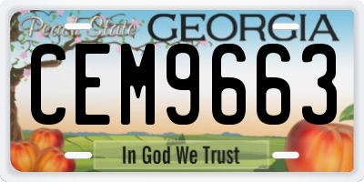 GA license plate CEM9663