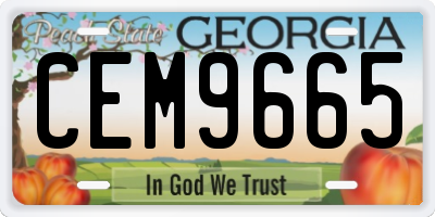 GA license plate CEM9665