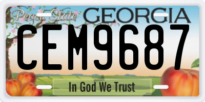 GA license plate CEM9687