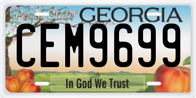 GA license plate CEM9699