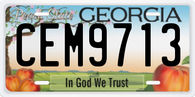 GA license plate CEM9713