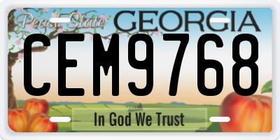 GA license plate CEM9768