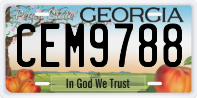 GA license plate CEM9788