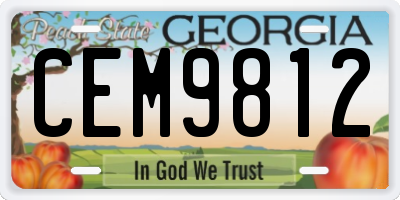 GA license plate CEM9812