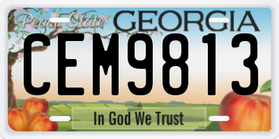 GA license plate CEM9813