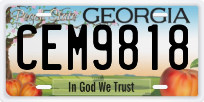GA license plate CEM9818