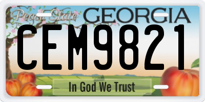 GA license plate CEM9821