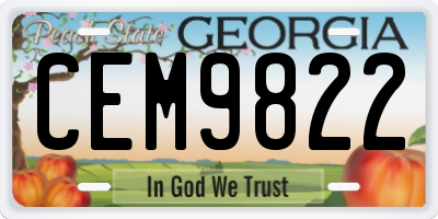 GA license plate CEM9822