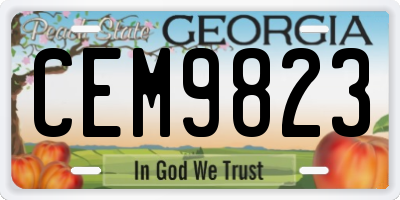 GA license plate CEM9823