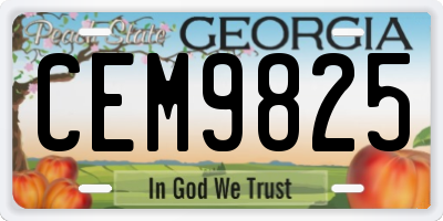 GA license plate CEM9825