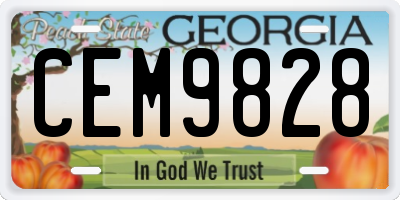 GA license plate CEM9828