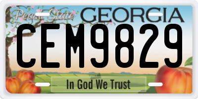 GA license plate CEM9829