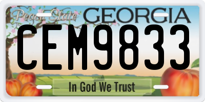 GA license plate CEM9833