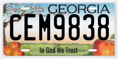 GA license plate CEM9838