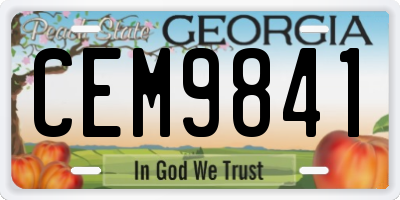 GA license plate CEM9841