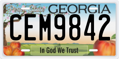 GA license plate CEM9842