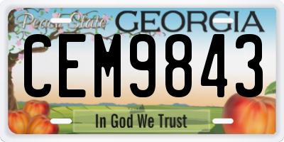 GA license plate CEM9843