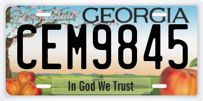 GA license plate CEM9845