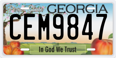 GA license plate CEM9847