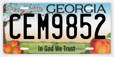 GA license plate CEM9852