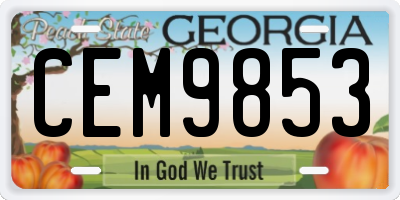 GA license plate CEM9853