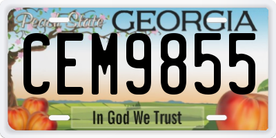 GA license plate CEM9855