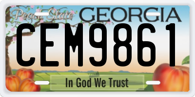 GA license plate CEM9861