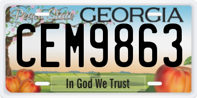 GA license plate CEM9863