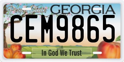GA license plate CEM9865