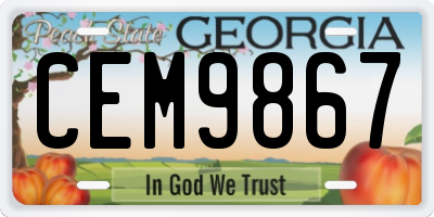 GA license plate CEM9867