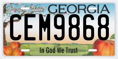 GA license plate CEM9868