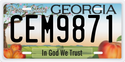 GA license plate CEM9871