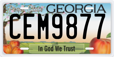 GA license plate CEM9877