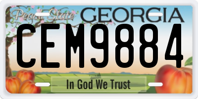 GA license plate CEM9884