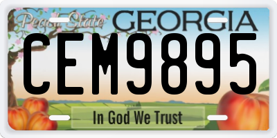 GA license plate CEM9895