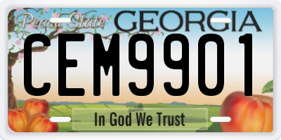 GA license plate CEM9901