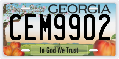 GA license plate CEM9902