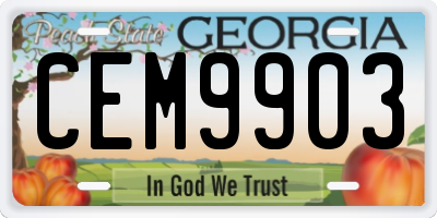 GA license plate CEM9903