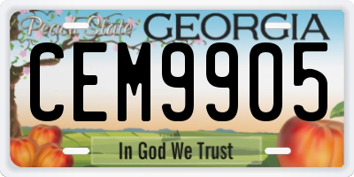 GA license plate CEM9905