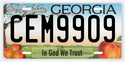 GA license plate CEM9909