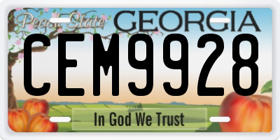 GA license plate CEM9928