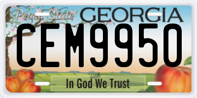 GA license plate CEM9950