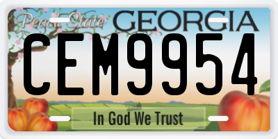 GA license plate CEM9954