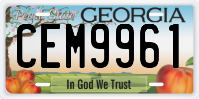 GA license plate CEM9961