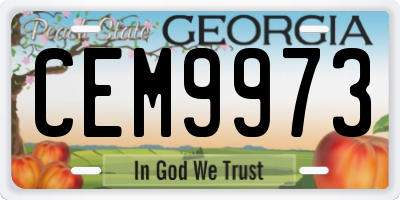 GA license plate CEM9973