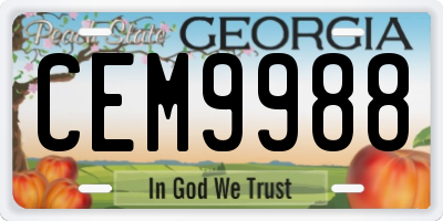 GA license plate CEM9988