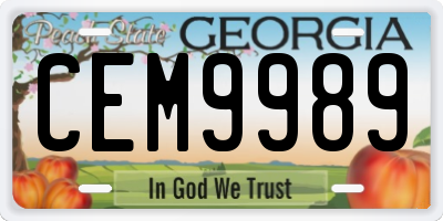 GA license plate CEM9989